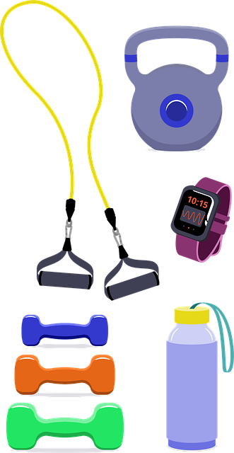 Free Home Gym Exercise vector and picture