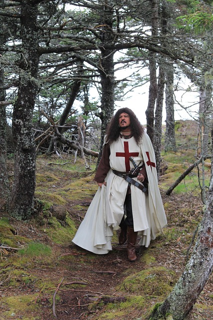 Free Templar Knight photo and picture