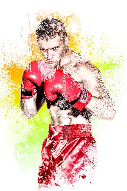 Free boxing kickboxing model illustration