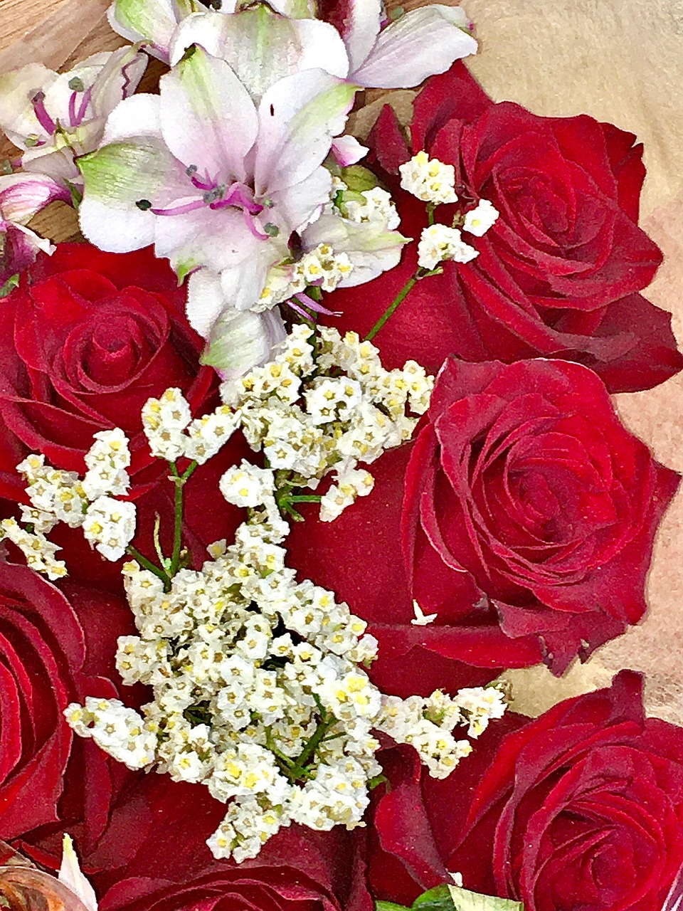 Roses Supermarket Rose Free photo on Pixabay Pixabay
