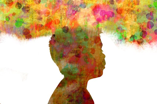 Alma, Psicologia, Filosofia, Filho