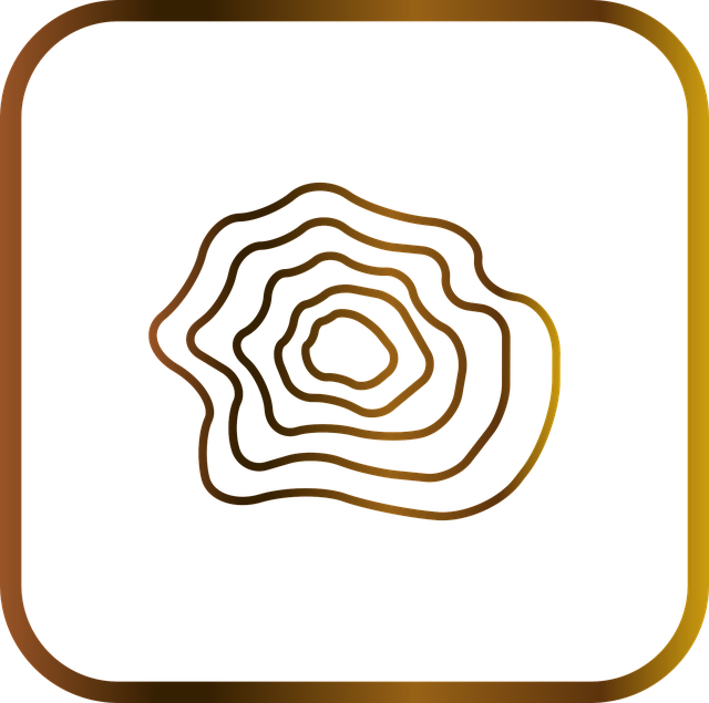 Free terrain contour line highland vector