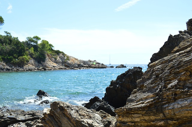 Free Sea Summer photo and picture
