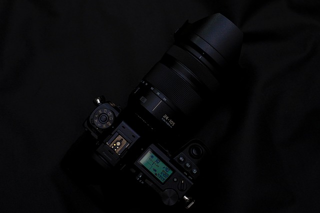 Free Lumix Camera photo and picture
