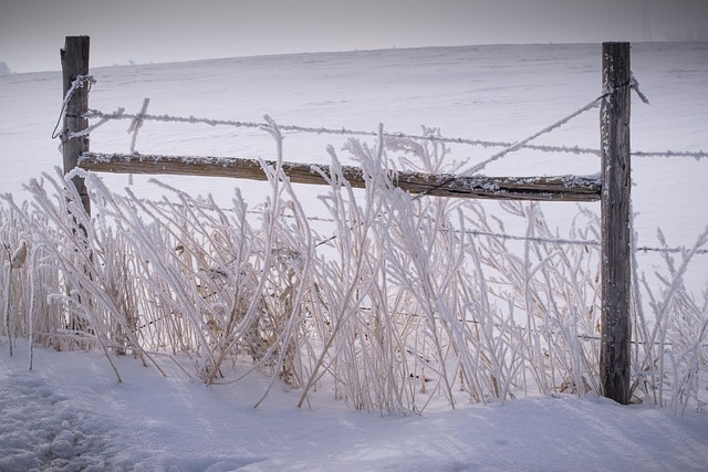 Zaun, Schnee, Frost, Winter, Natur, Kalt