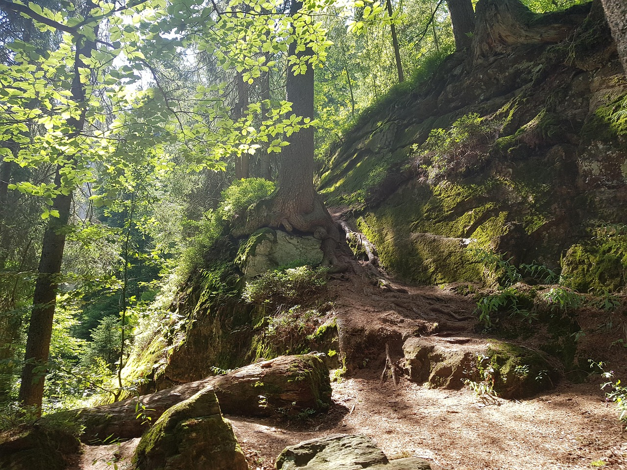 berg im bayr wald 5 buchstaben