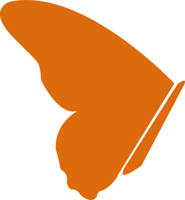Free Butterfly Outline illustration and picture