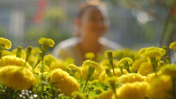 Nieuwe Maanjaar, Mei, Vietnam, De Lente