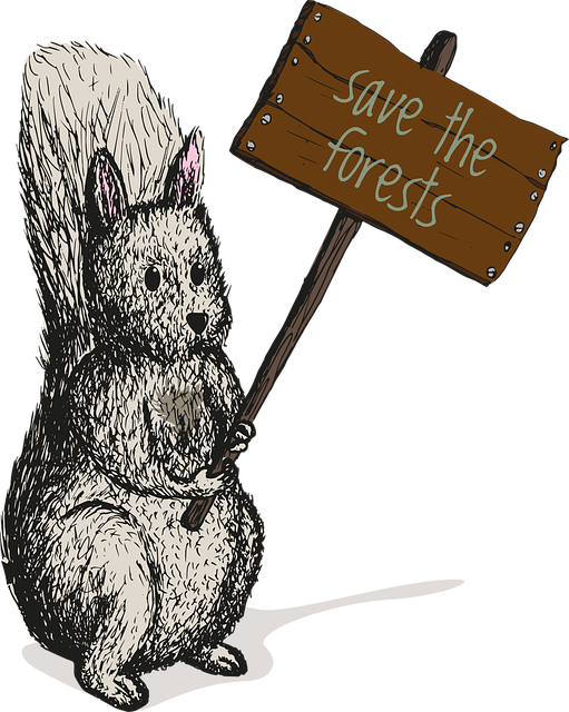 Free chipmunk animal rodent vector