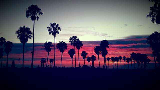 Free Venice Beach Venice photo and picture