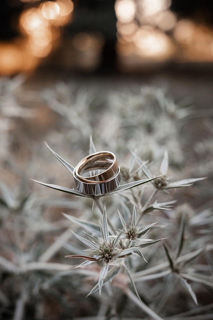 Anillos De Boda, Anillos, Anillo, Boda