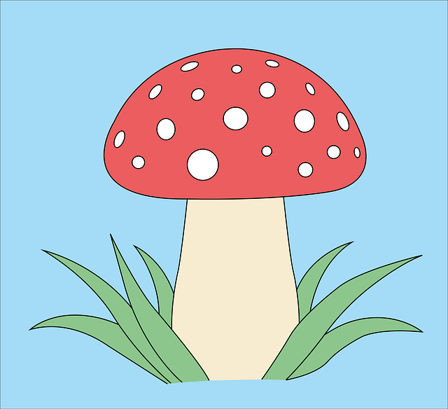 Champignon, Paddestol, Skov, Natur