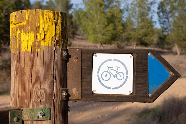 Free Direction Path photo and picture
