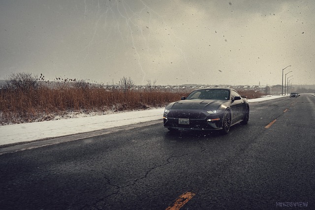Free Car Mustang photo and picture