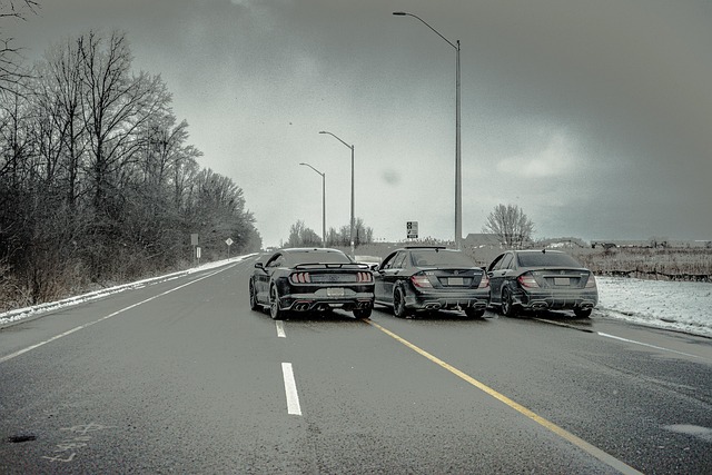 Free Racing Linedup photo and picture