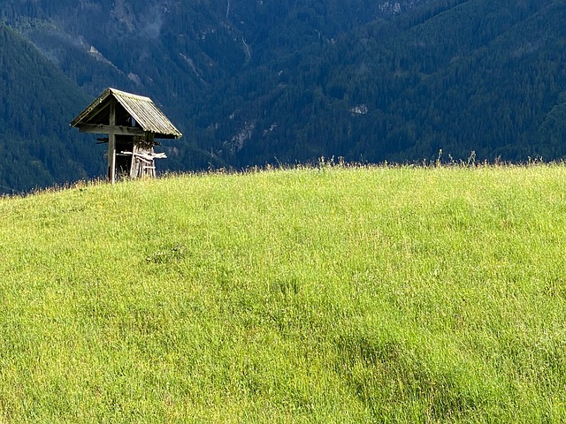 Wiese, Berg, Tirol, Fiss, Stimmung