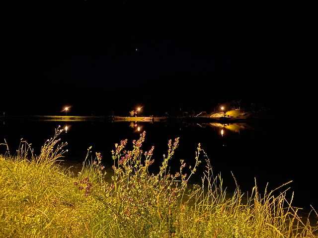 Nacht, Spaziergang, See, Stimmung, Licht