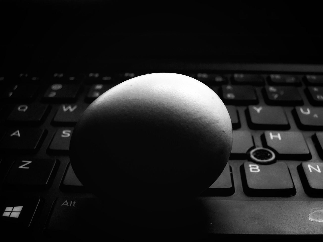 Egg Keyboard - Free photo on Pixabay - Pixabay