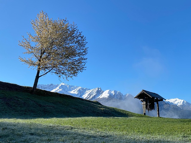 Berge, Schnee, Wiese, Fiss, Tirol