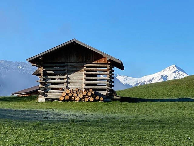 Berge, Schnee, Wiese, Fiss, Tirol