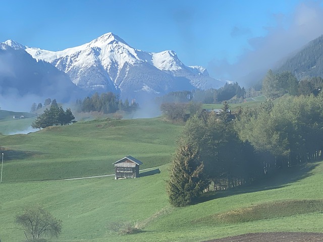 Berge, Schnee, Wiese, Fiss, Tirol