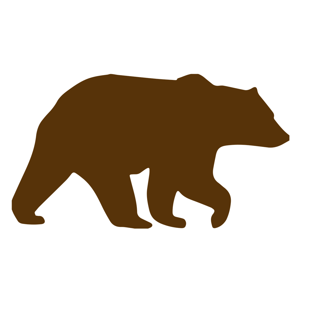 Download Bear Animal Wild Royalty-Free Stock Illustration Image - Pixabay