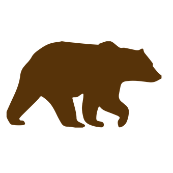 Free Bear Animal illustration and picture