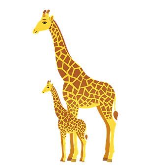 Free Giraffes Animals illustration and picture