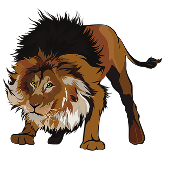 Free Lion Animal illustration and picture