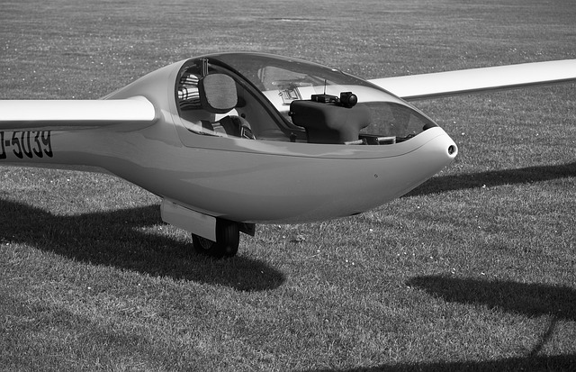 Free Glider Plane photo and picture