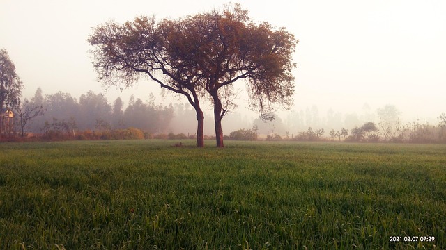Free Crop Land photo and picture