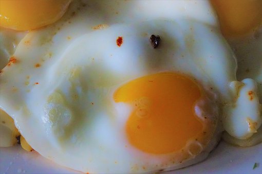 Free Eggs Protein photo and picture