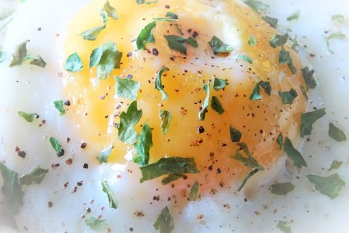 Free Breakfast Eggs photo and picture