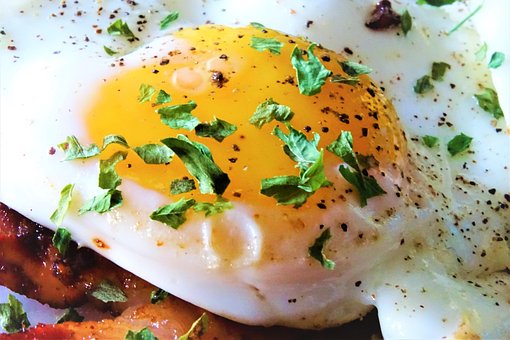 Free Breakfast Eggs photo and picture