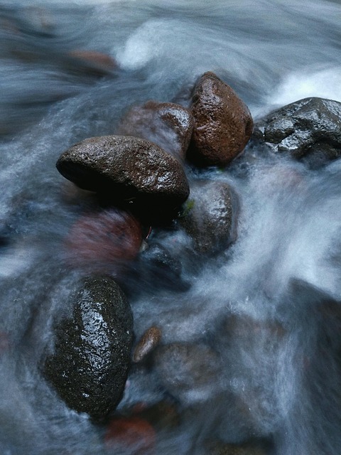 Free Peace Calm photo and picture