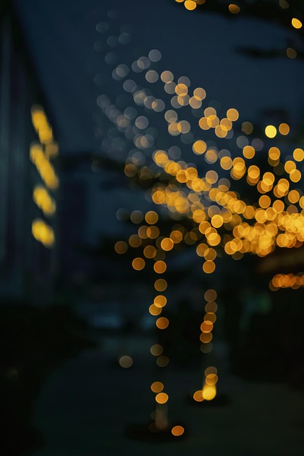 Free Blur Blurry photo and picture