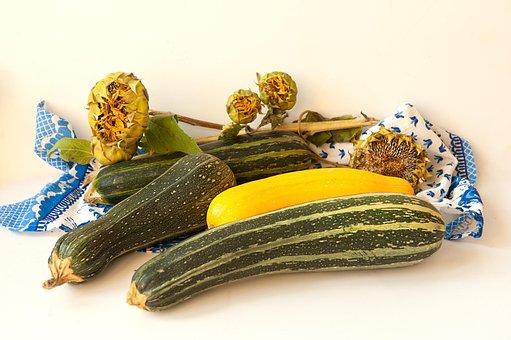 Free Zucchini Vegetable photo and picture