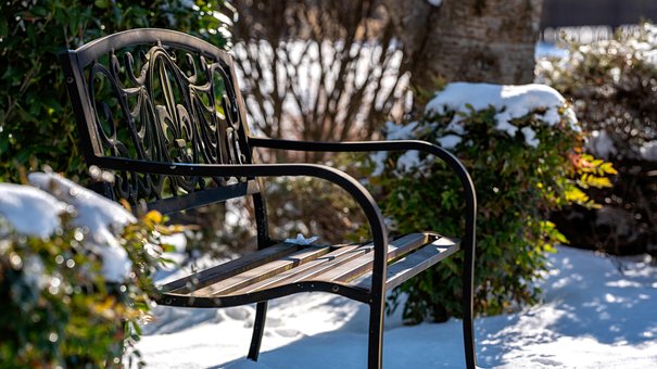 Free Fleur-De-Lis Bench photo and picture