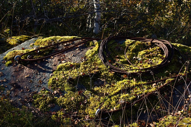 Free Nature Stone photo and picture