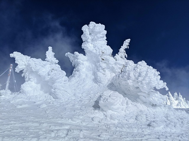 Free Mt Spokane Frozen photo and picture