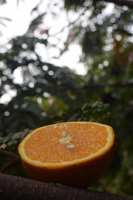 Free Orange Colour photo and picture