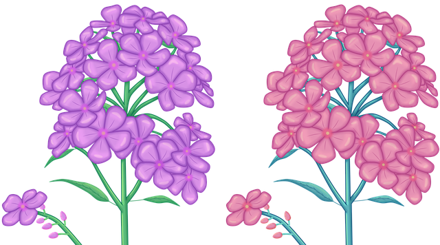 Free flowers floors floral illustration