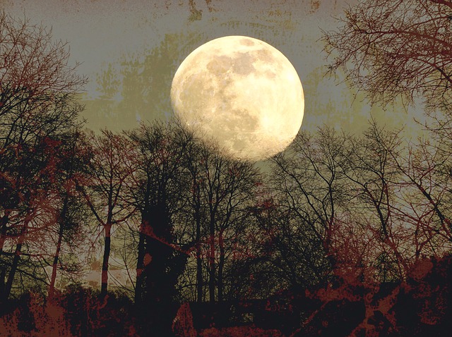 Free moon mond fantasy illustration