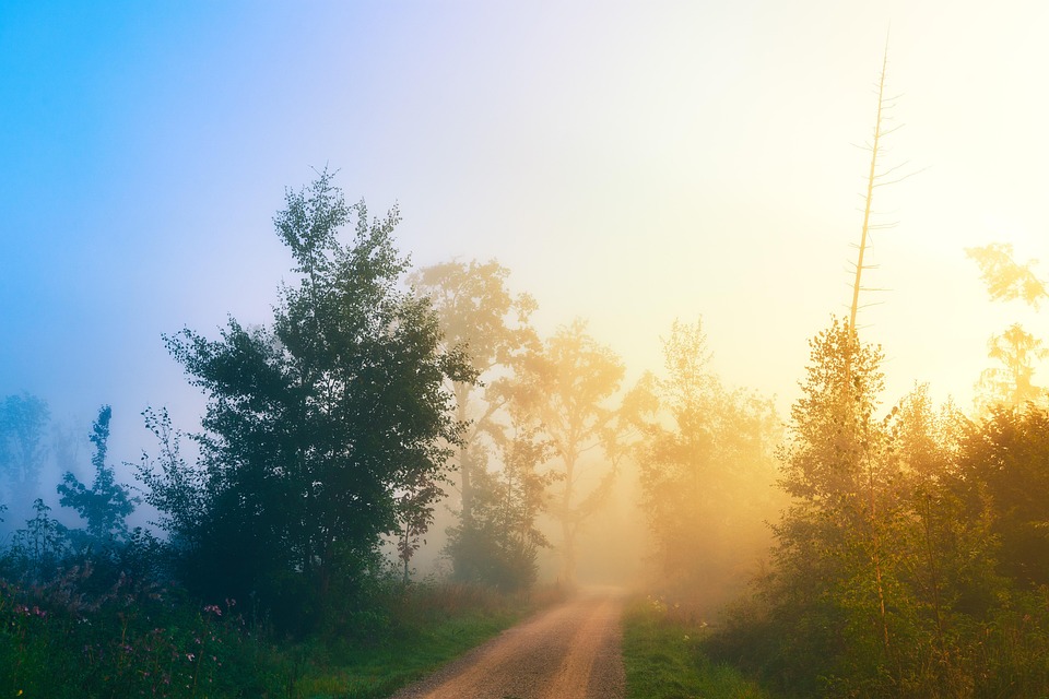 多雾路段 有雾的 自然 - Pixabay上的免费照片 - Pixabay