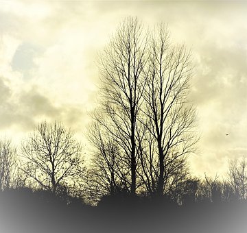 Free Silhouette Brake photo and picture