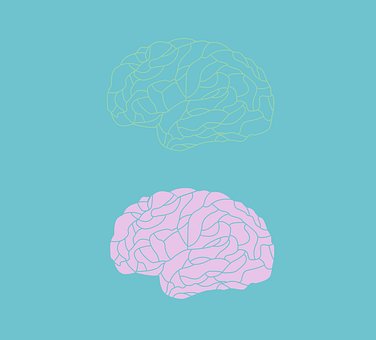 Free Brain Science vector and picture