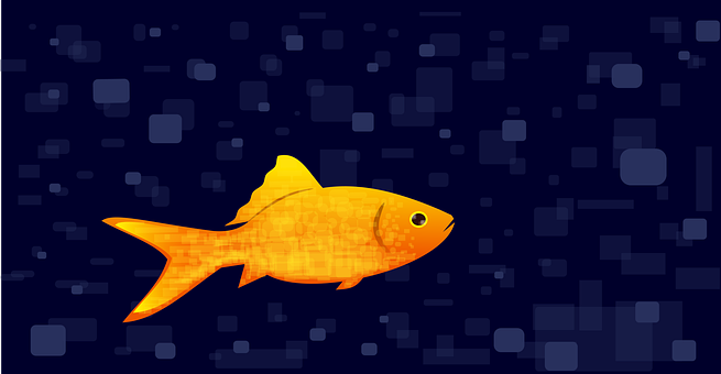 Free Fish Goldfish vector and picture