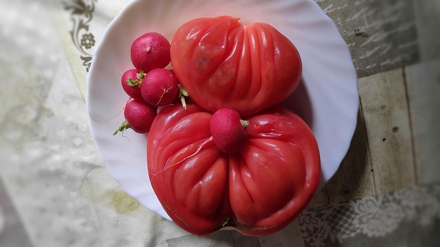 Free Tomato Huerta photo and picture