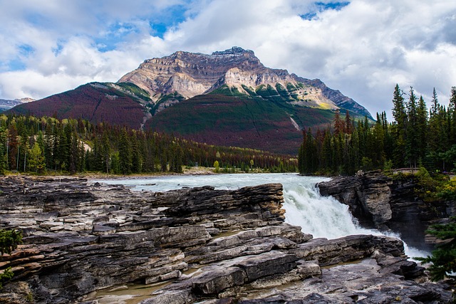 Free Canada Nature photo and picture