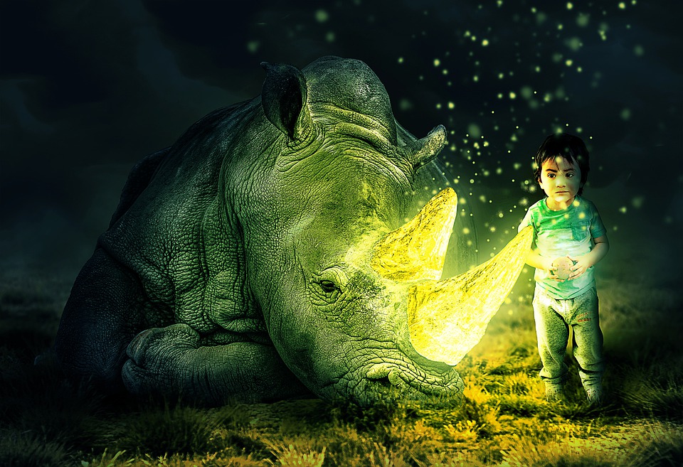 Rhino Boy Kid - Free image on Pixabay